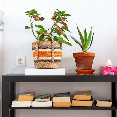 דירה The Blue Cris-tol Vv With Sea View פוארטו דל כרמן